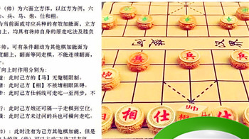 中国象棋可以飞将吗